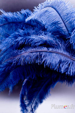Struisvogel - 32-42 cm - grijs-donkerblauw